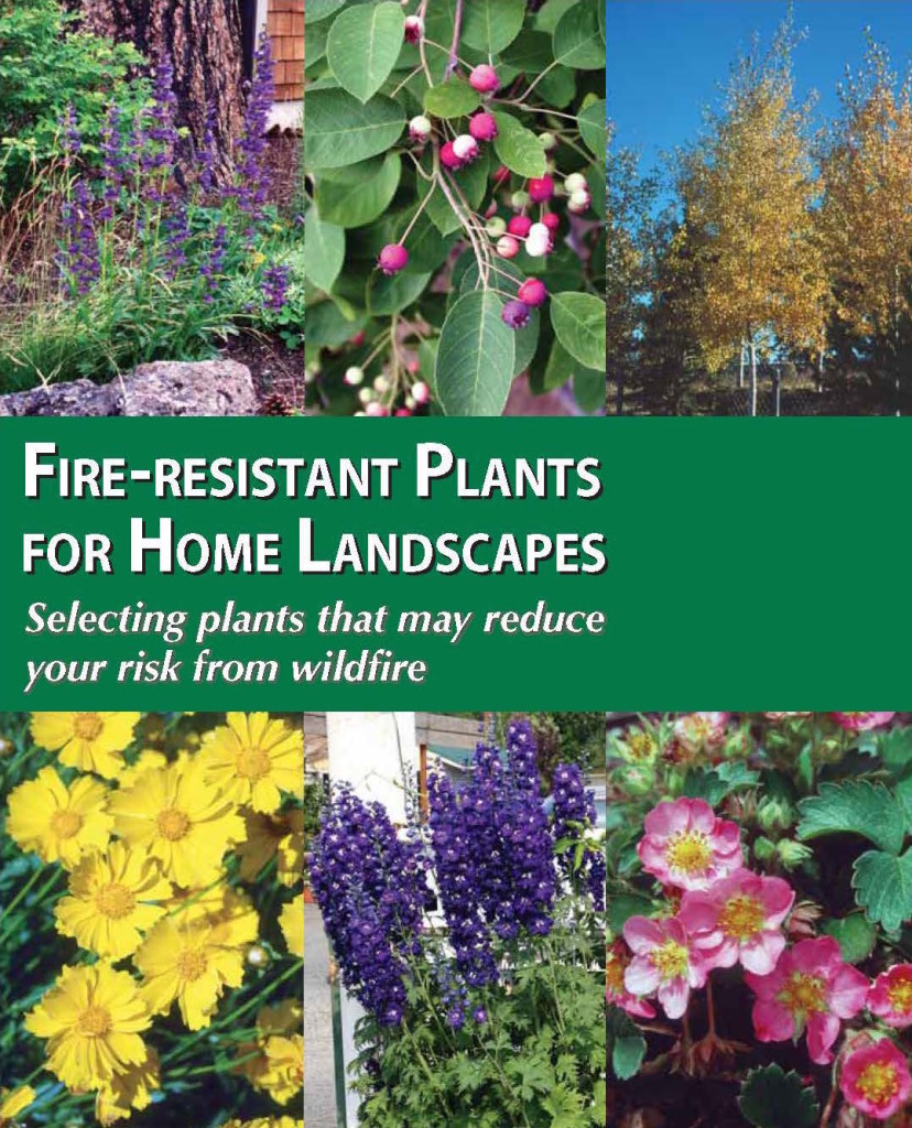 Fire Resistant Plants